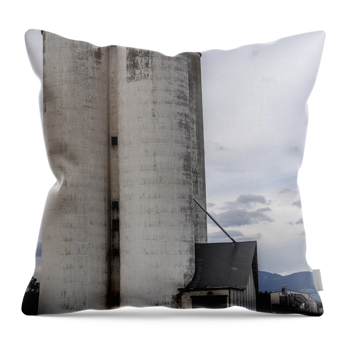 Longmont Throw Pillow featuring the photograph Sugar Mill by Aaron Spong