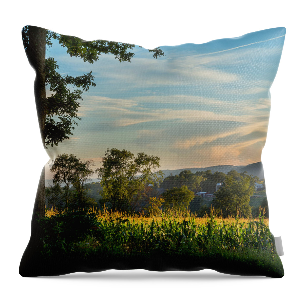 New England Landscape Throw Pillow featuring the photograph Summer Corn Square by Bill Wakeley