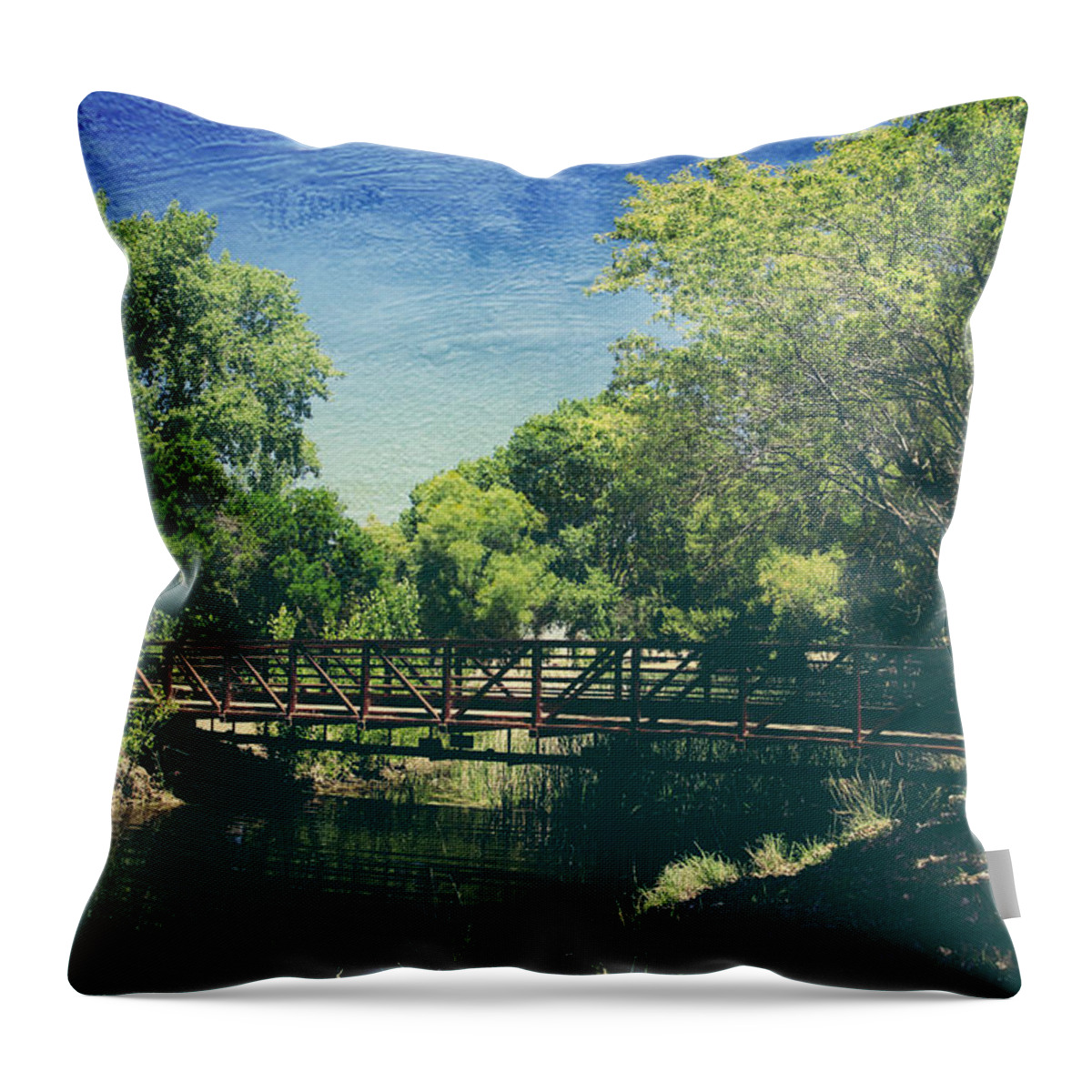 Contra Loma Regional Park Throw Pillow featuring the photograph Summer Draws Near by Laurie Search