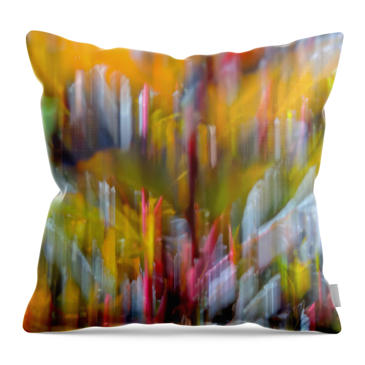 Abstract Throw Pillow featuring the photograph Summer Flowers by Robert Mitchell