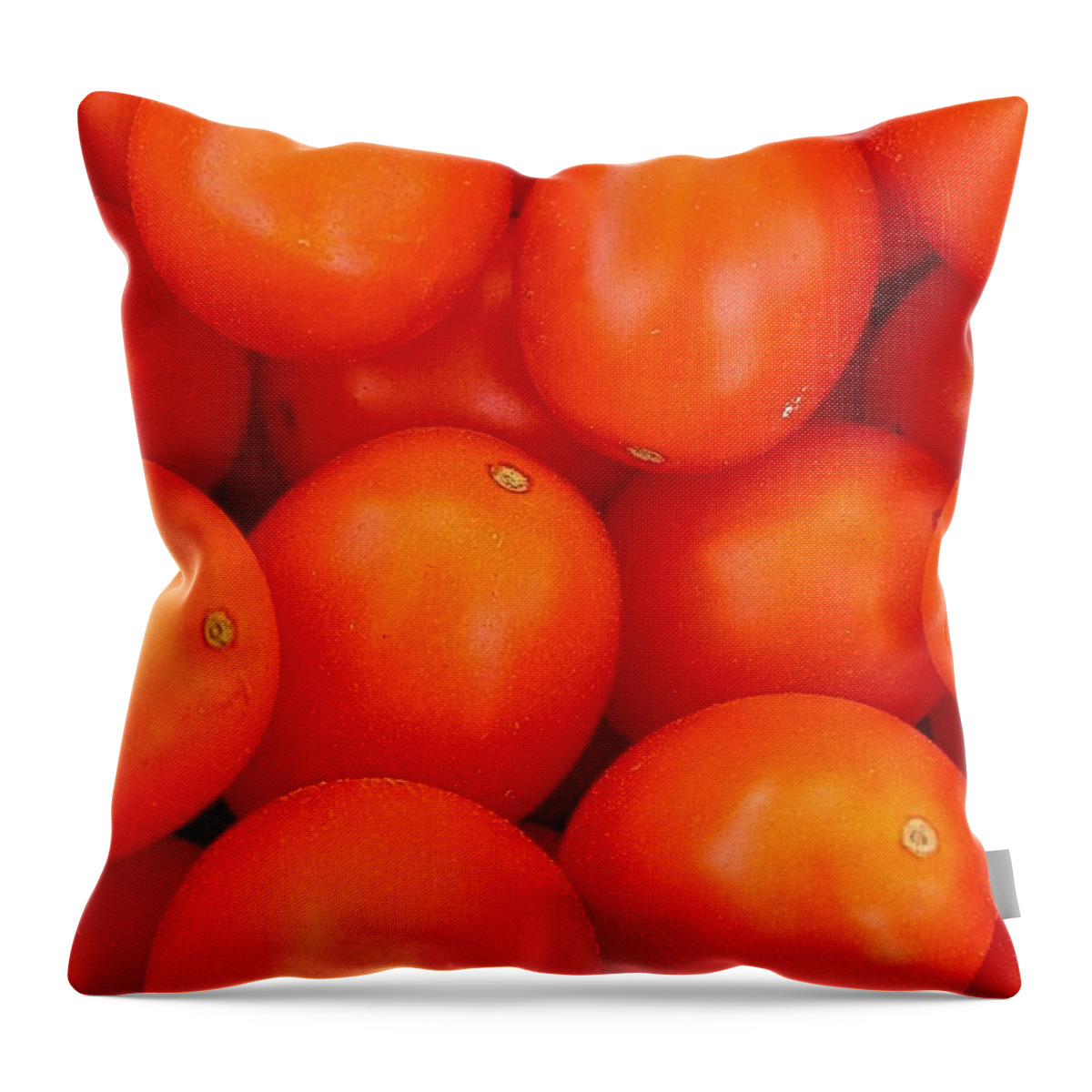 Tomato Harvest Throw Pillow featuring the photograph Summer Fun by Cynthia Wallentine