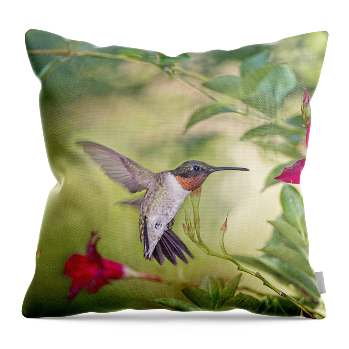 Summer Garden Throw Pillow featuring the photograph Summer Garden Hummingbird by Bonnie Barry