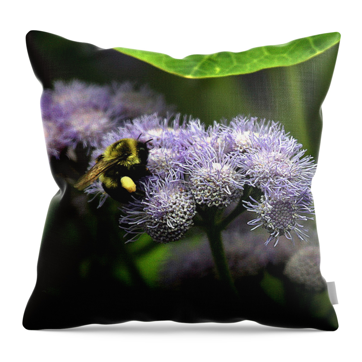 Bea Throw Pillow featuring the photograph Summer Harvest by Yvonne Wright