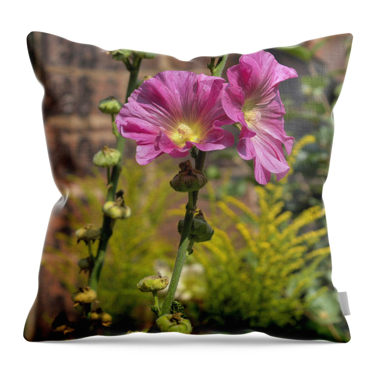 Flower Throw Pillow featuring the photograph Summer Hollyhocks by Ian Mitchell