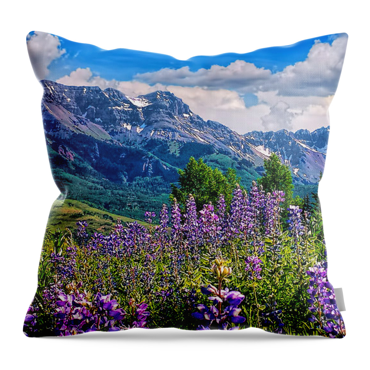 Wildflowers Throw Pillow featuring the photograph Summer in Telluride by Rick Wicker