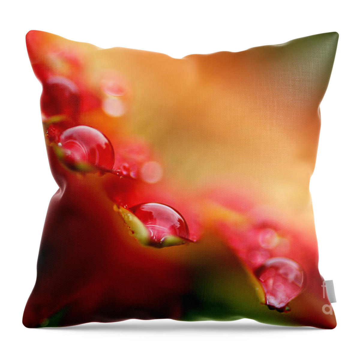 Stunning Throw Pillow featuring the photograph Summer Jewels by Darren Fisher