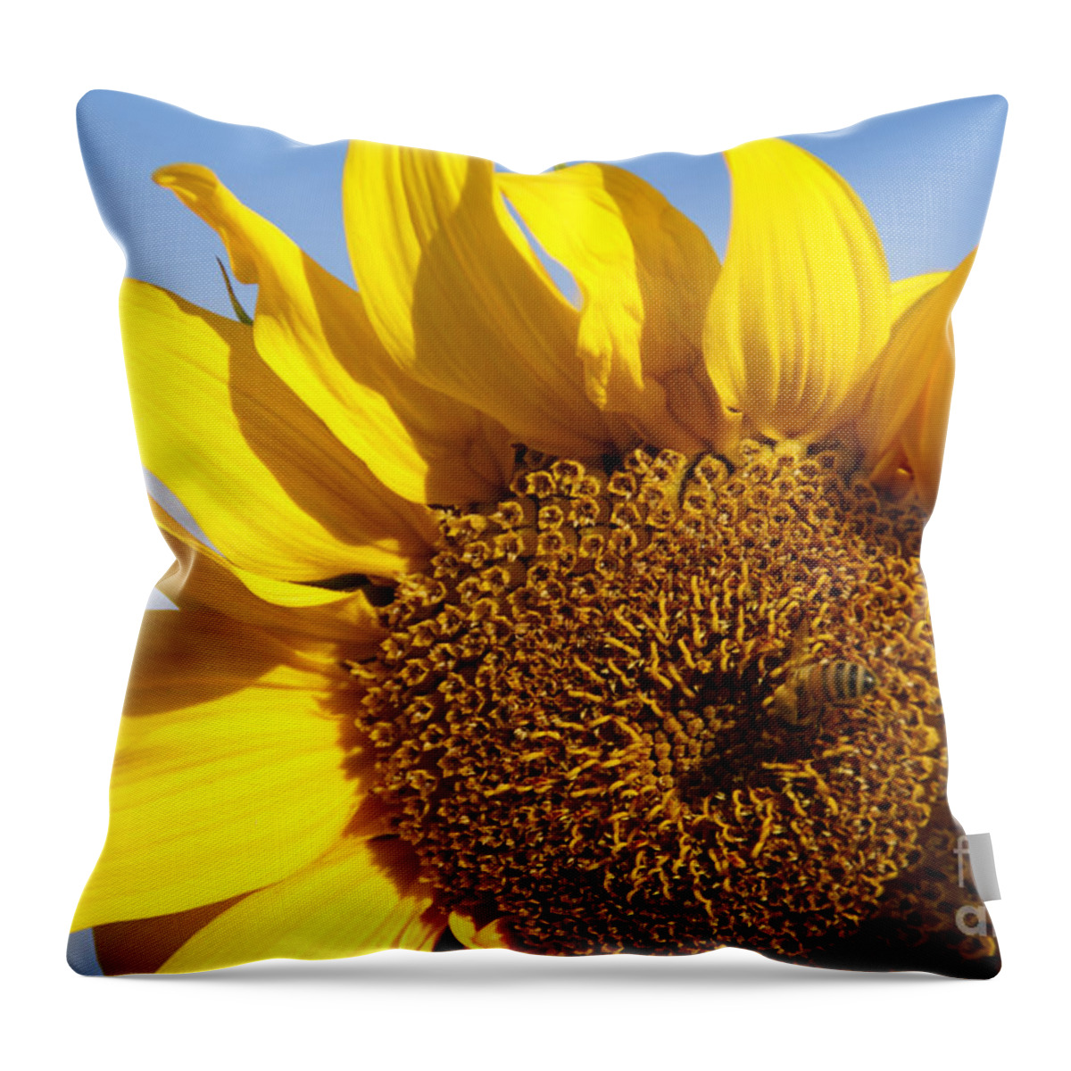 Sunflower Throw Pillow featuring the photograph Summer Love by Linda Shafer