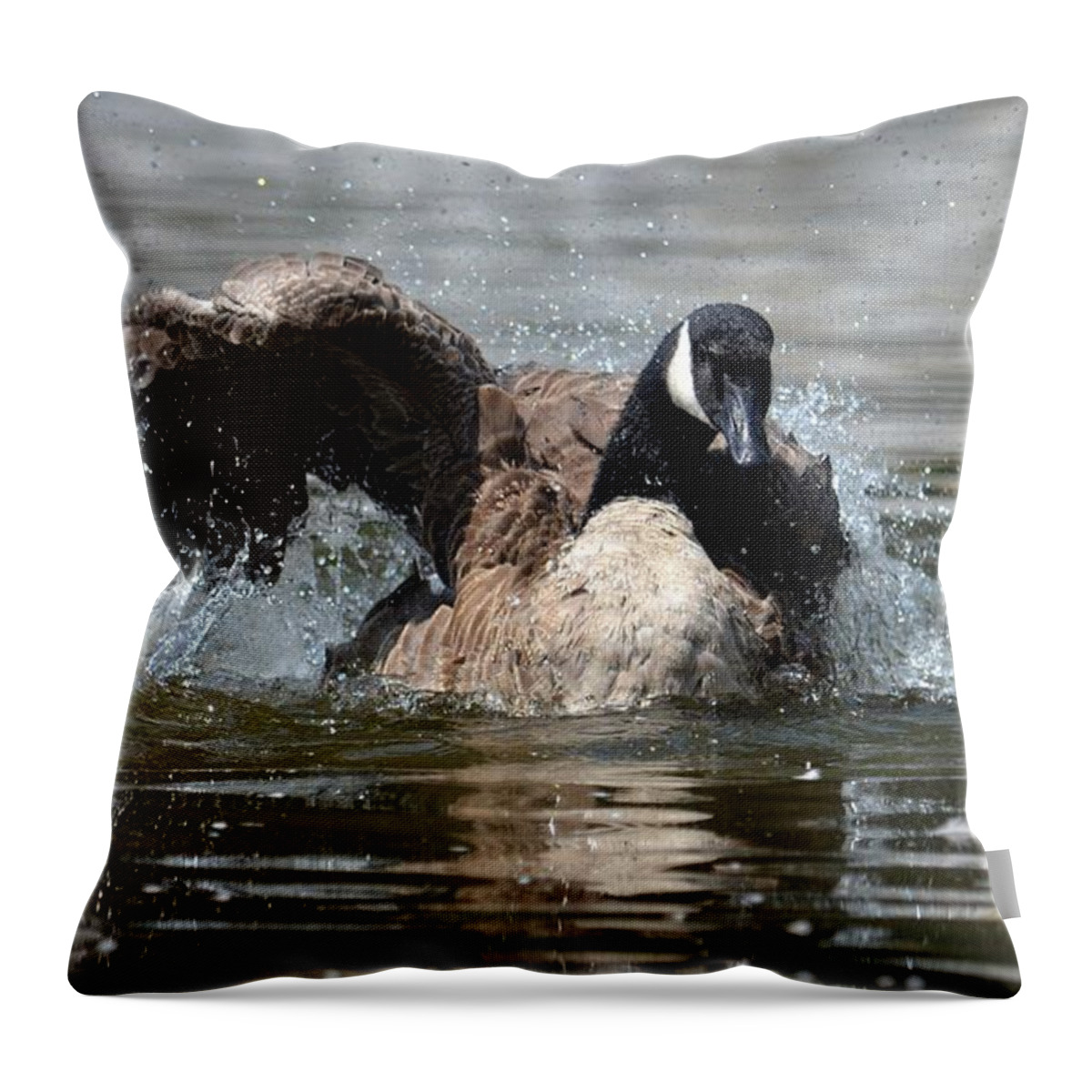 Summer Lovin - Canadian Goose Throw Pillow featuring the photograph Summer Lovin - Canadian Goose by Maria Urso