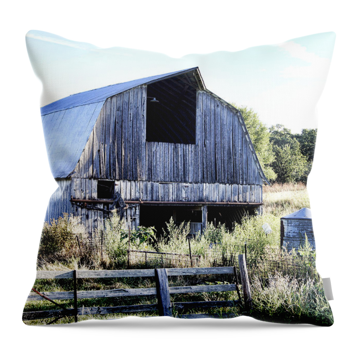 Summer Throw Pillow featuring the photograph Summer Morning by Cricket Hackmann