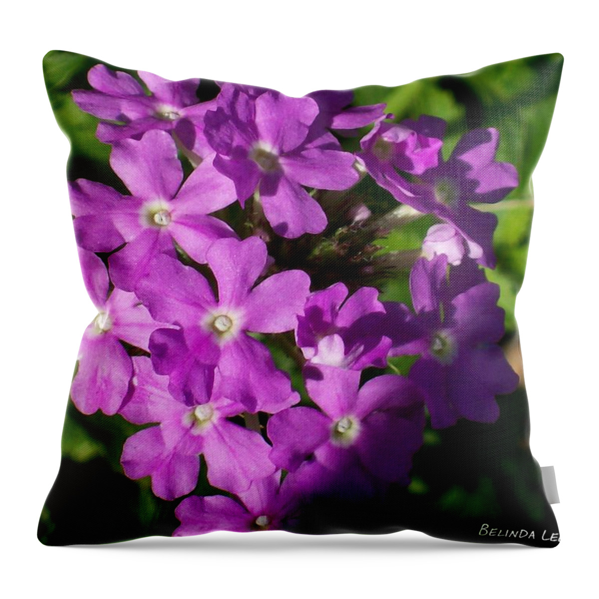 Shadowed Purple Summer Phlox. Throw Pillow featuring the photograph Summer Phlox by Belinda Lee