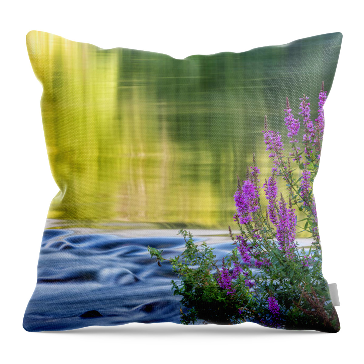 Reflection Throw Pillow featuring the photograph Summer Reflections by Bill Wakeley
