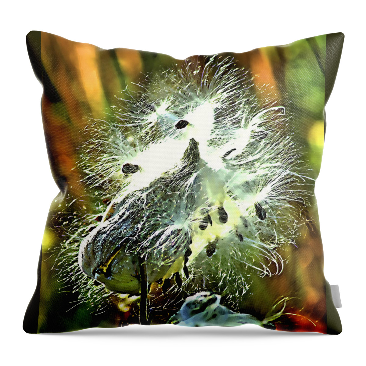 Summer Throw Pillow featuring the photograph SUMMER SEEDS - milkweed by Adam Olsen