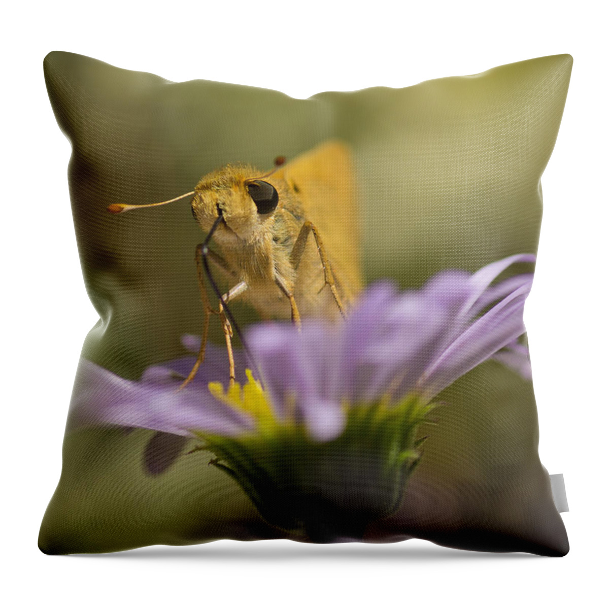 Butterfly Throw Pillow featuring the photograph Summer Skipper by Priya Ghose