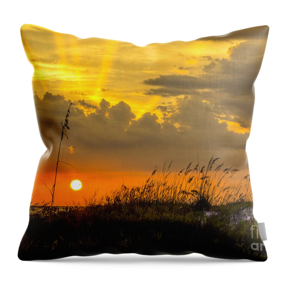 Sarasota Throw Pillow featuring the photograph Summer Sun by Marvin Spates