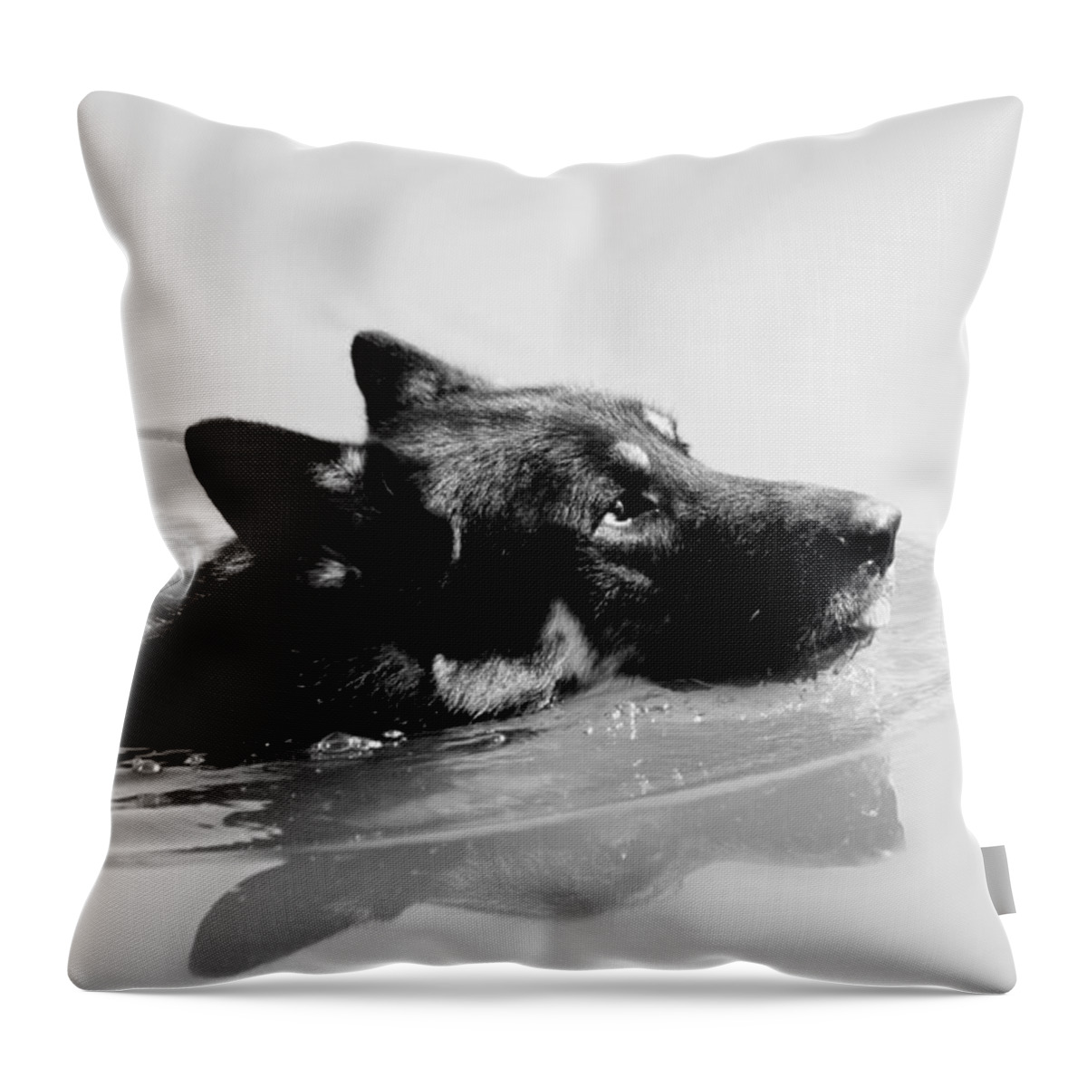 German Shepard Throw Pillow featuring the photograph Summer Swim by Melanie Lankford Photography