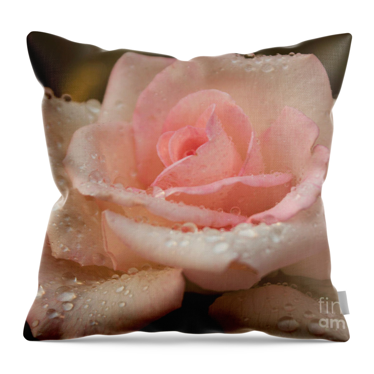 Pink Throw Pillow featuring the photograph Summer Wonder by Arlene Carmel