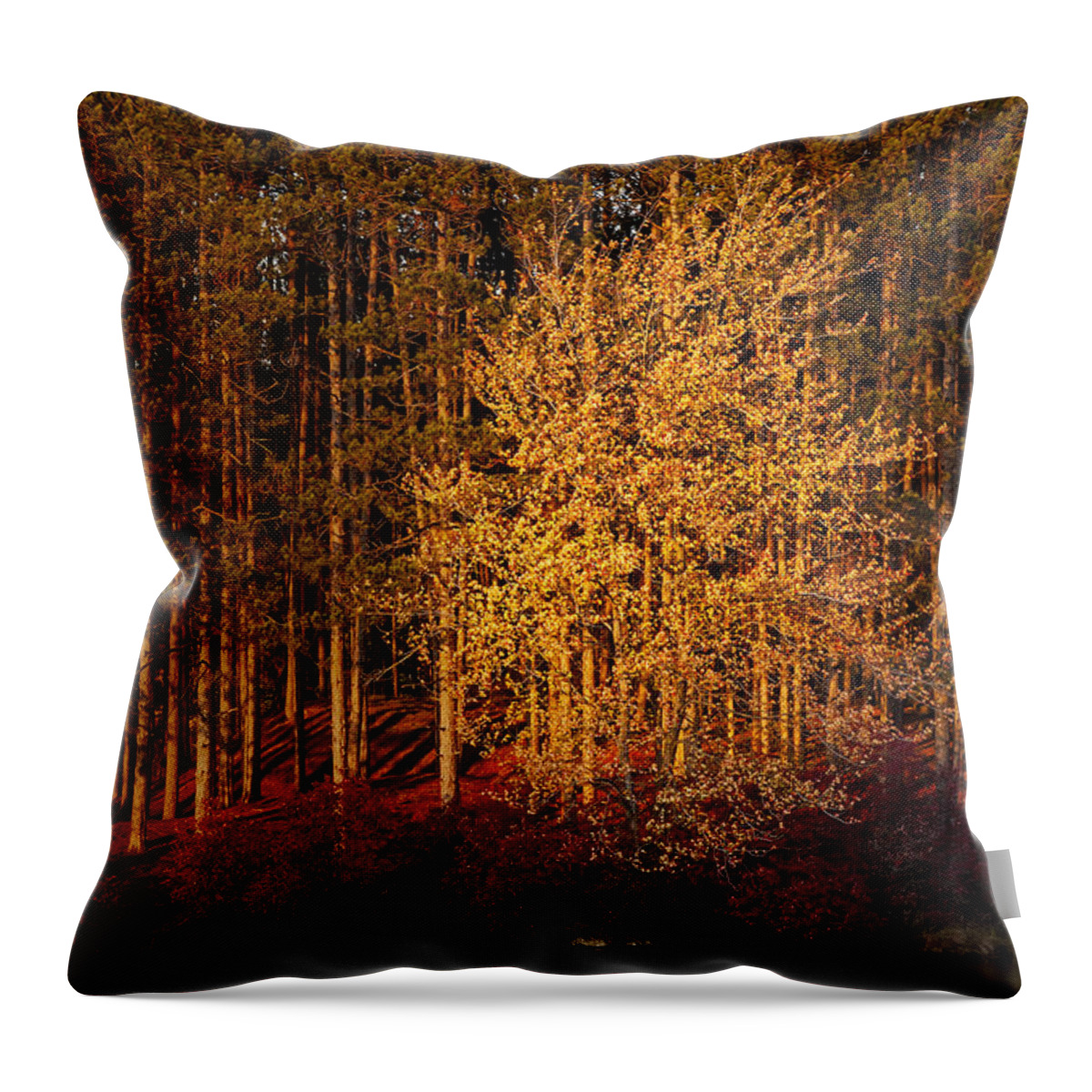 Autumn Throw Pillow featuring the photograph Summers End by Susan Candelario