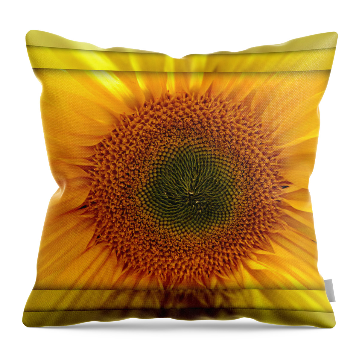Sun Flower Throw Pillow featuring the photograph Sun Flower Dream by John Shiron