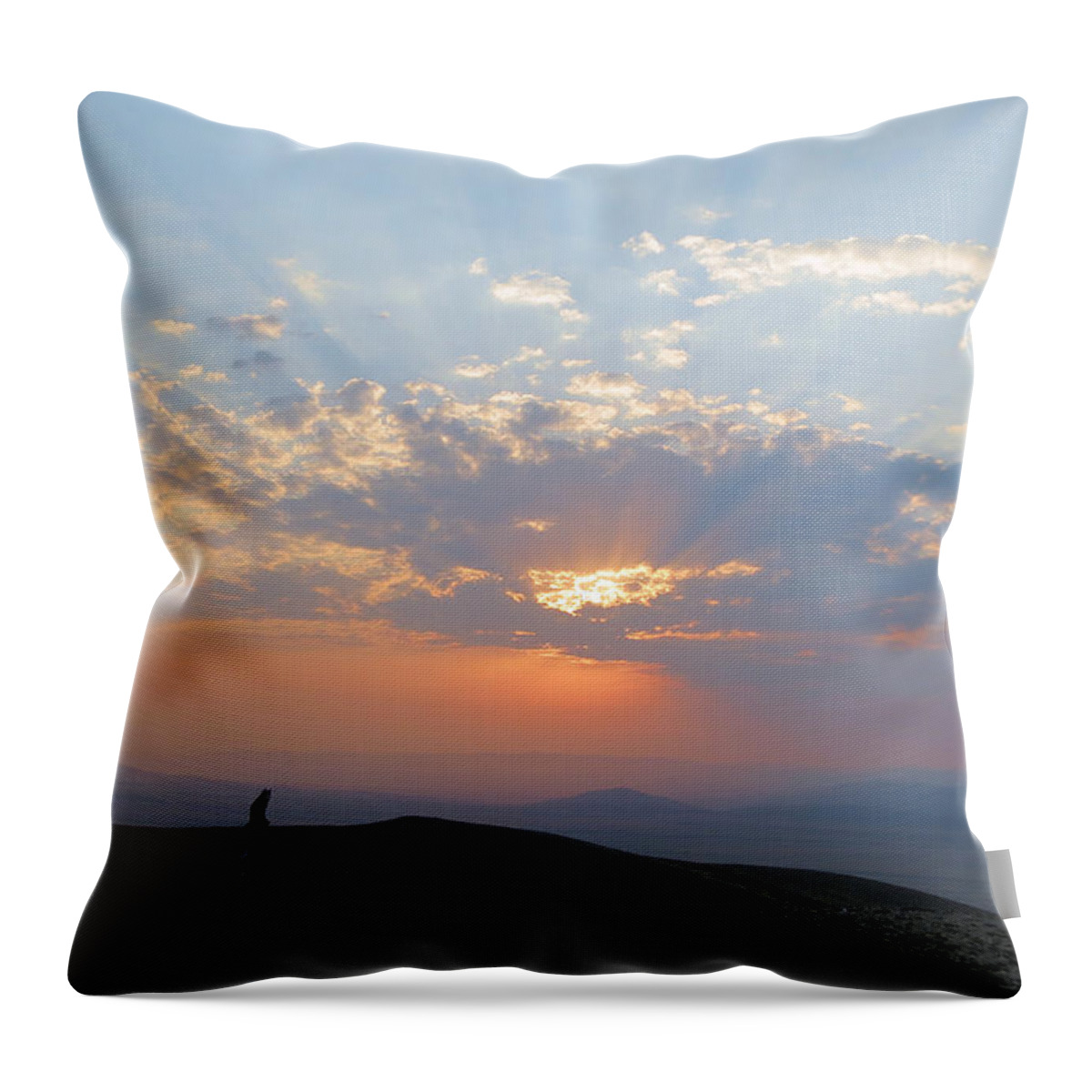 Sun Throw Pillow featuring the photograph sun rays II by Darcy Tate