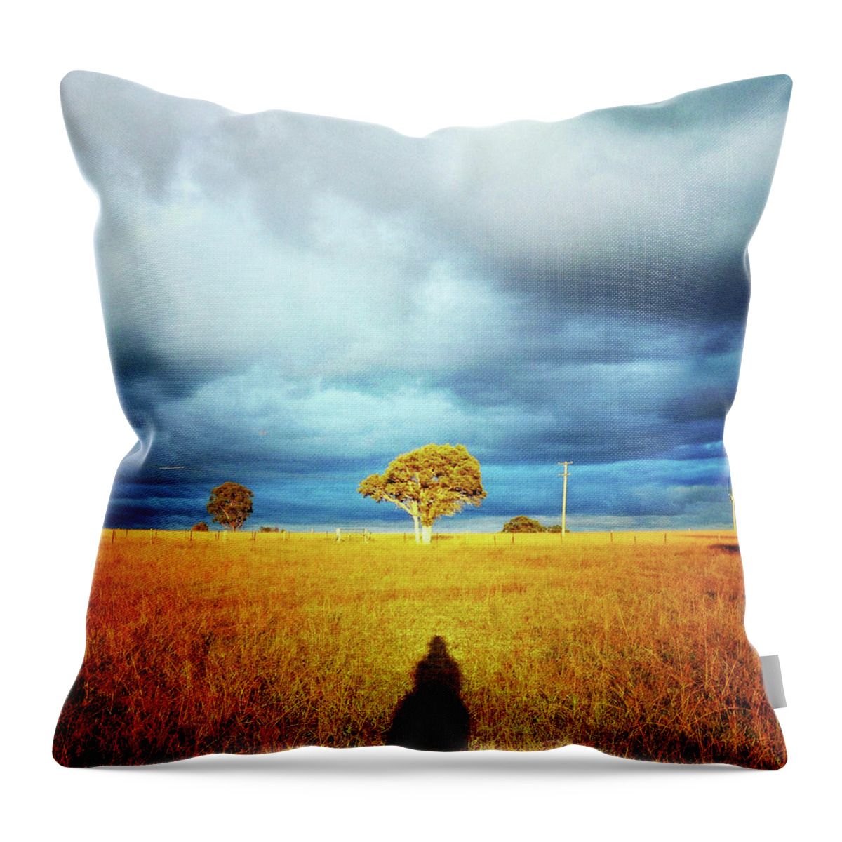 Tranquility Throw Pillow featuring the photograph Sun Shines On The Golden Grass In by Photography By Bobi