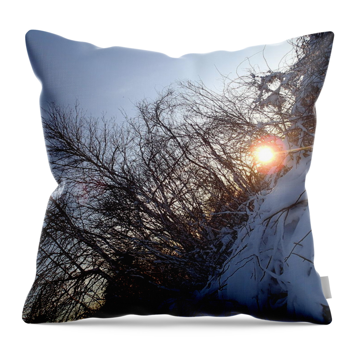 Nature Throw Pillow featuring the photograph Sunbeam by Robert Nickologianis