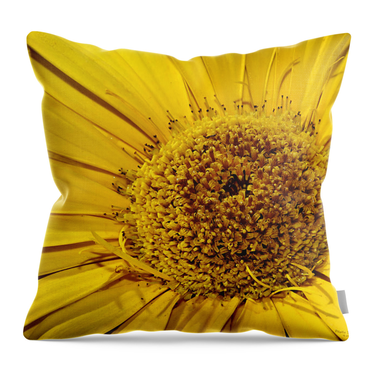 Flower Throw Pillow featuring the photograph Sunburst by Phyllis Denton