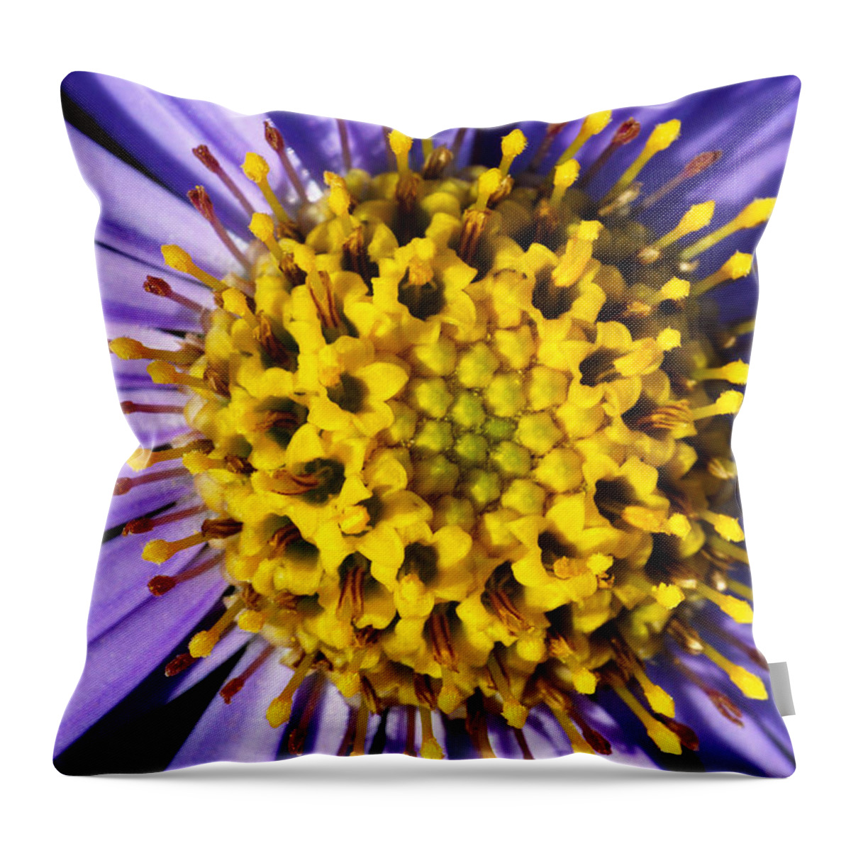 Art Throw Pillow featuring the photograph Sunburst by Wendy Wilton