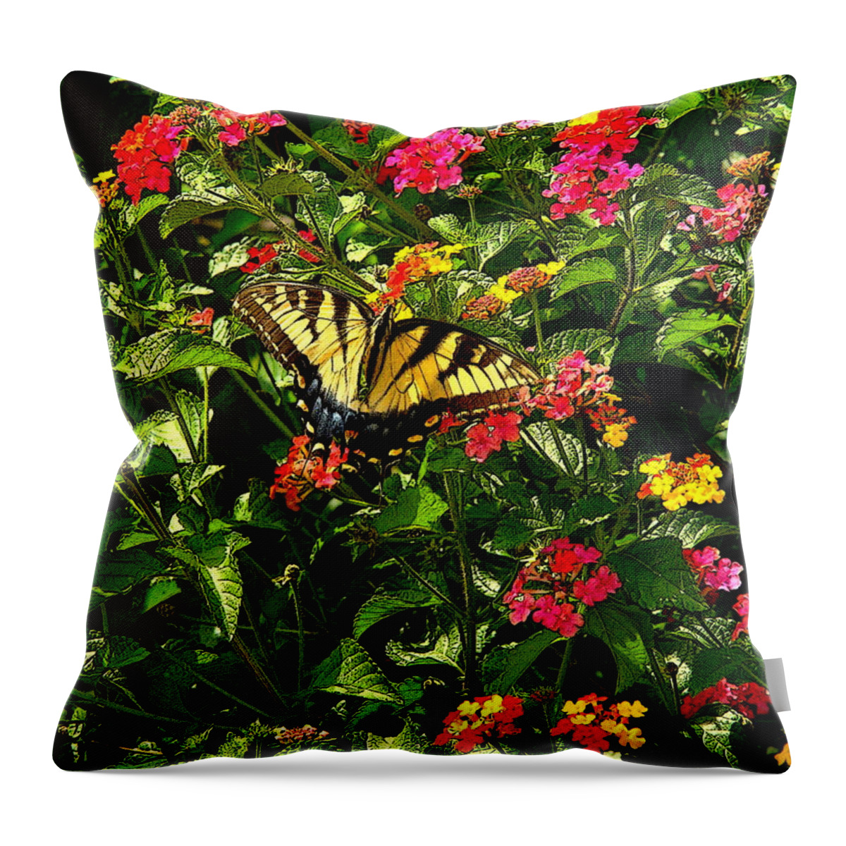 Fine Art Throw Pillow featuring the photograph Suncatcher by Rodney Lee Williams