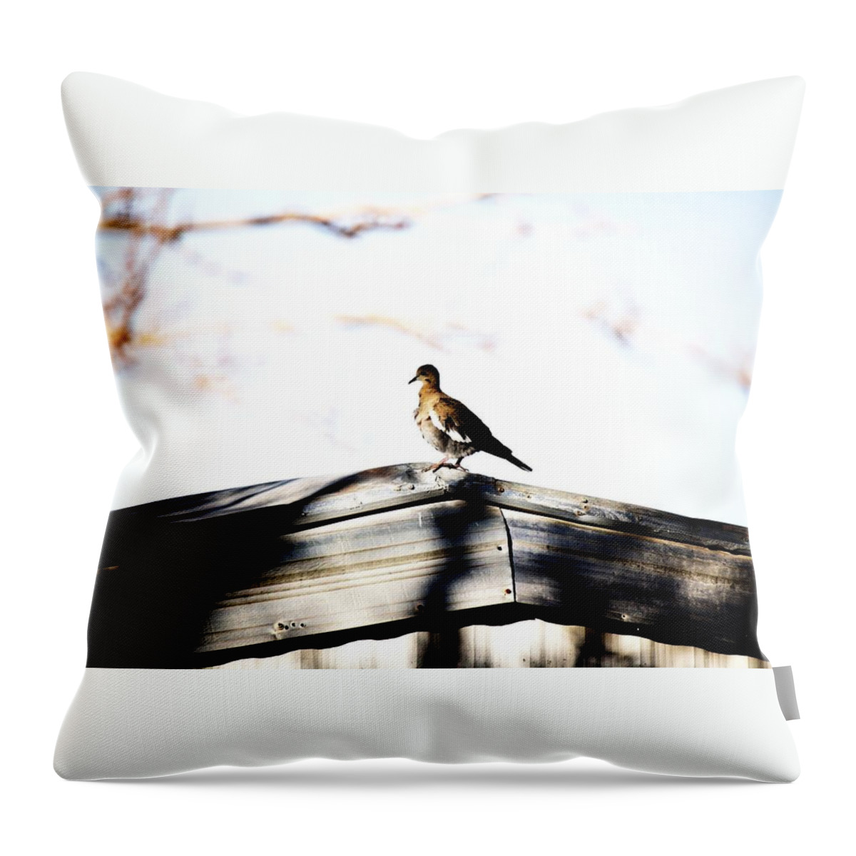 Birds Throw Pillow featuring the photograph Sunday morning by Jessica S