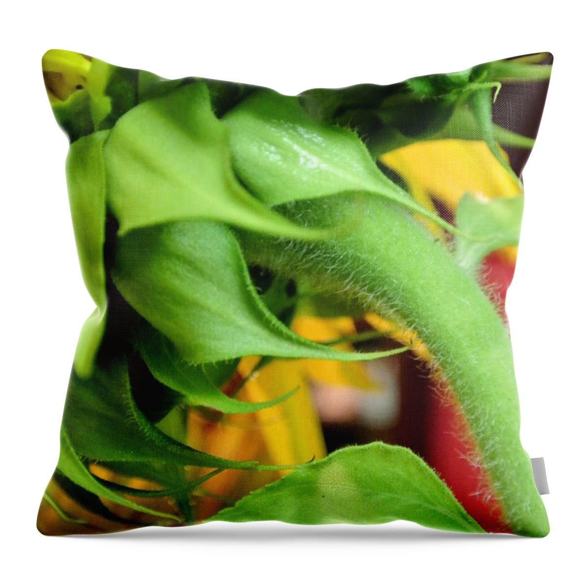  Throw Pillow featuring the photograph Sunflower - The Back Side by Sharron Cuthbertson