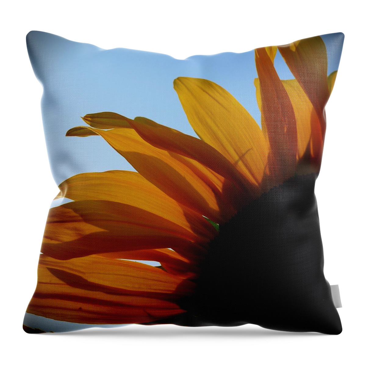 Sunflower Throw Pillow featuring the photograph Sunflower 2 by Anne Thurston
