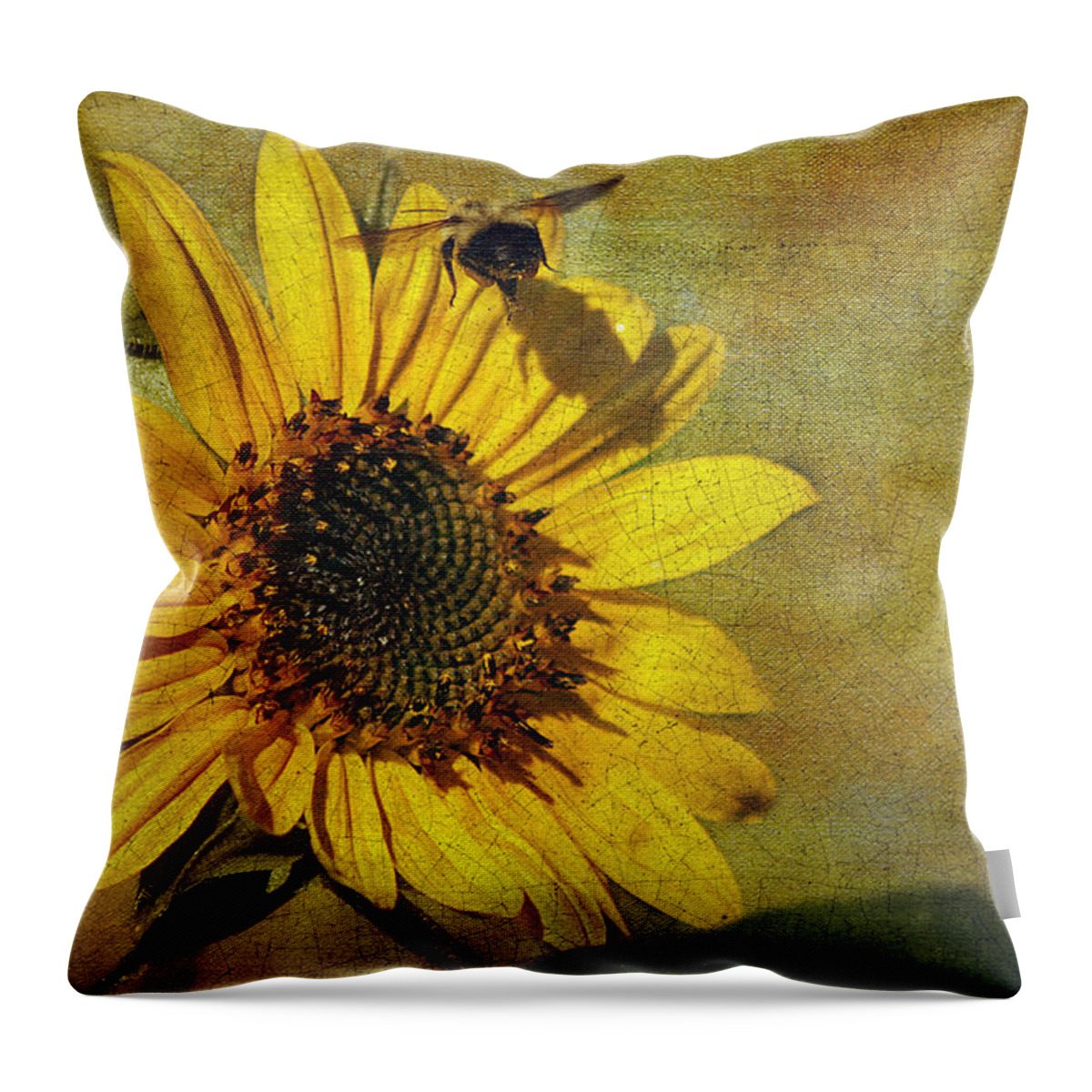 Cindi Ressler Throw Pillow featuring the photograph Sunflower and Bumble Bee by Cindi Ressler