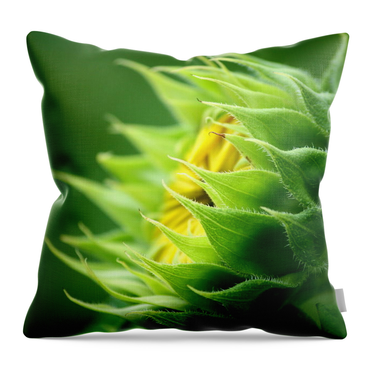 Yellow Sunflower Throw Pillow featuring the photograph Awakening Sunflower by Neal Eslinger