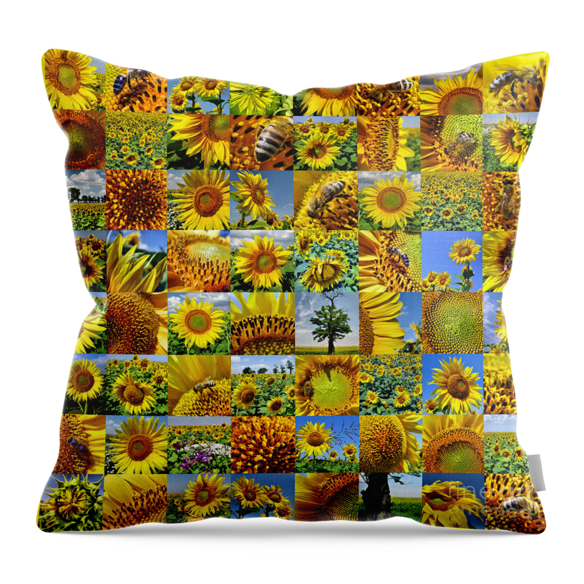 Sunflower Throw Pillow featuring the photograph Sunflower field collage in yellow by Daliana Pacuraru