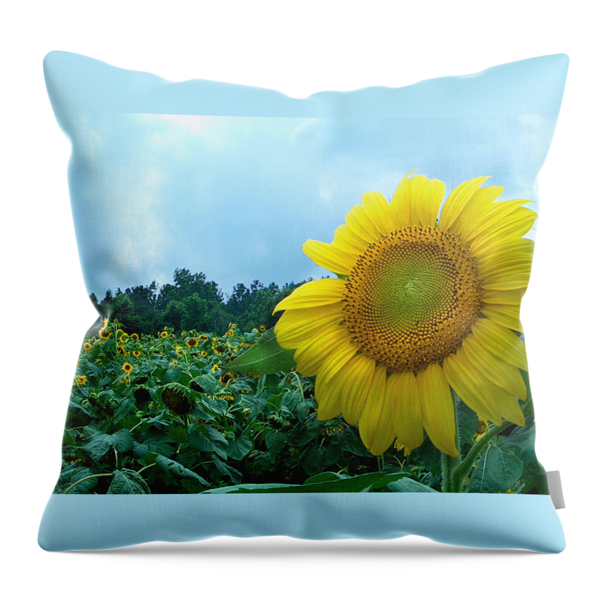 Sunflower Photographs Throw Pillow featuring the photograph Sunflower Field of Yellow Sunflowers by Jan Marvin Studios by Jan Marvin