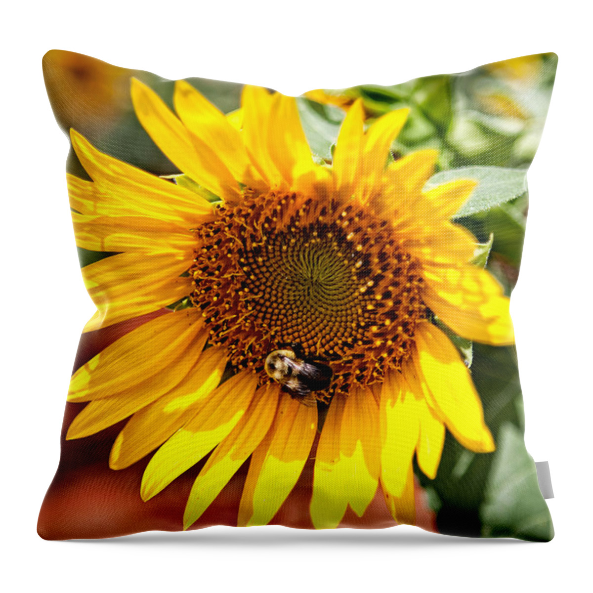Flower Throw Pillow featuring the photograph Sunflower Love by Gerald Adams