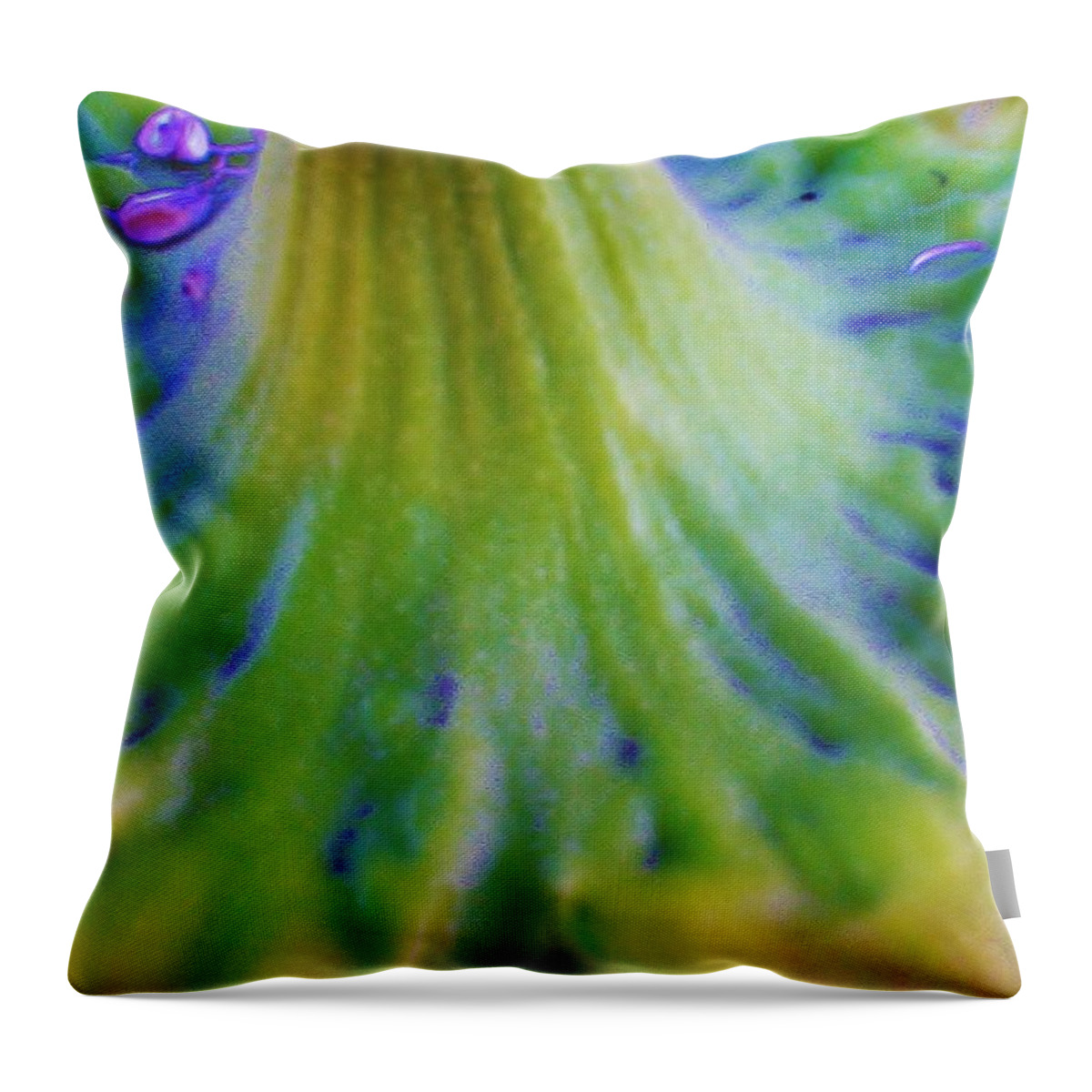 Sunflower Throw Pillow featuring the photograph Sunflower...Moonside 2 by Daniel Thompson