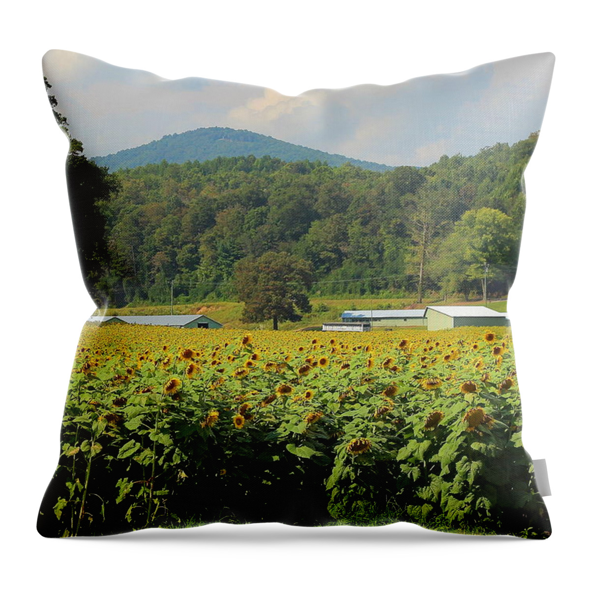 Sunflower Throw Pillow featuring the photograph Sunflowers And Mountain View 2 by Cathy Lindsey