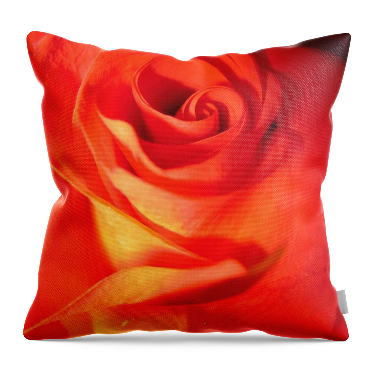 Floral Throw Pillow featuring the photograph Sunkissed Orange Rose 10 by Tara Shalton