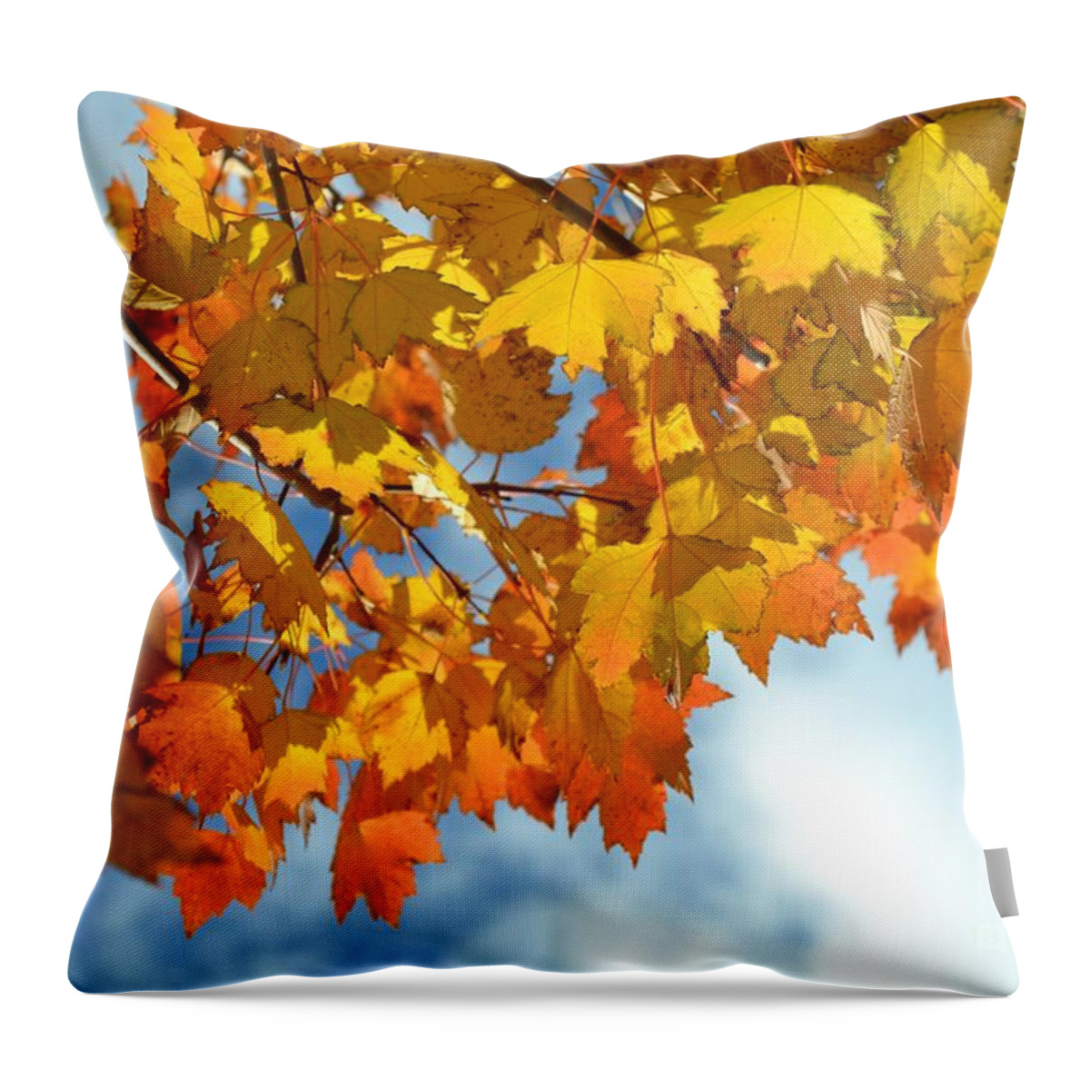Fall Throw Pillow featuring the photograph Sunlight and Shadow - Autumn Leaves Two by Miriam Danar