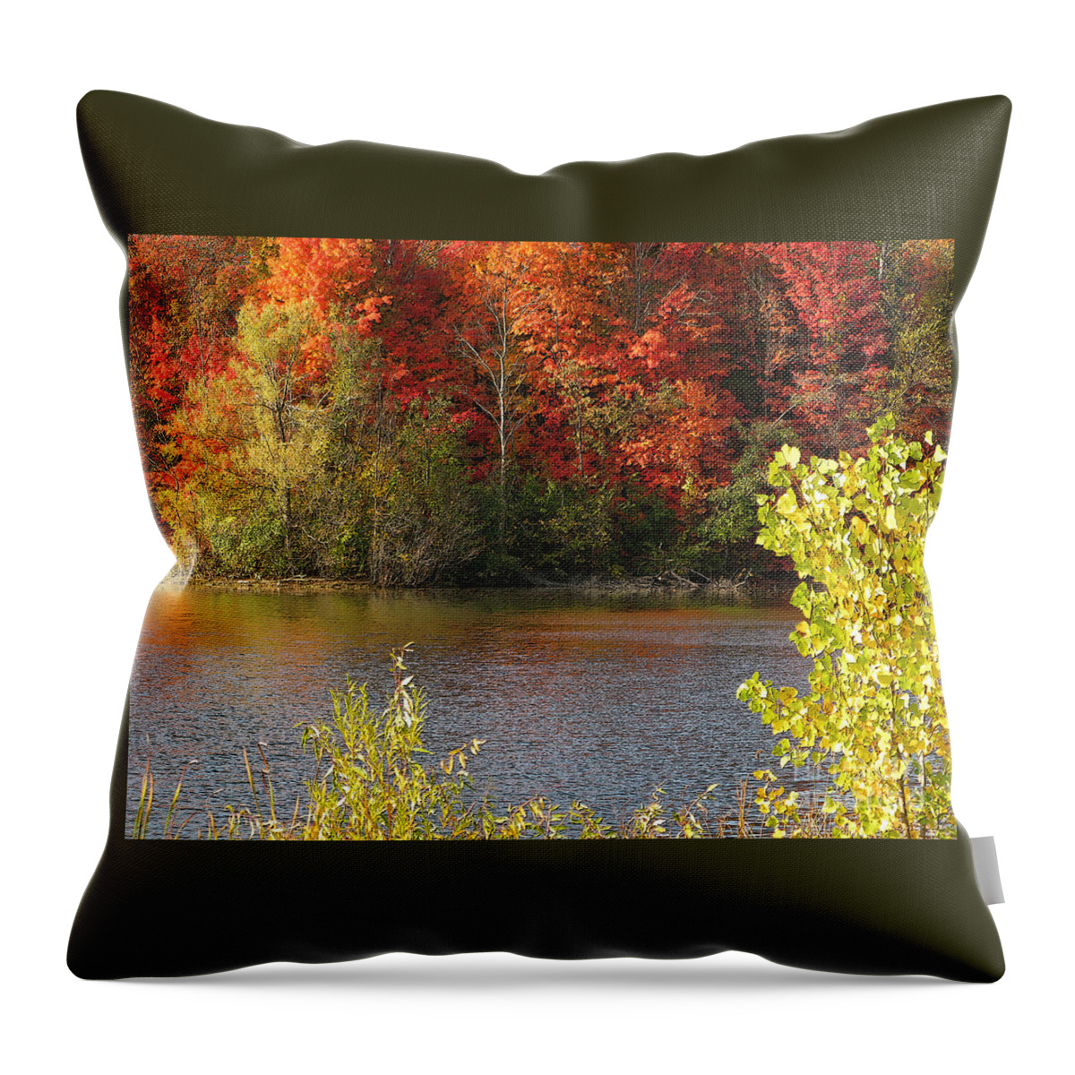 Autumn Throw Pillow featuring the photograph Sunlit Autumn by Ann Horn