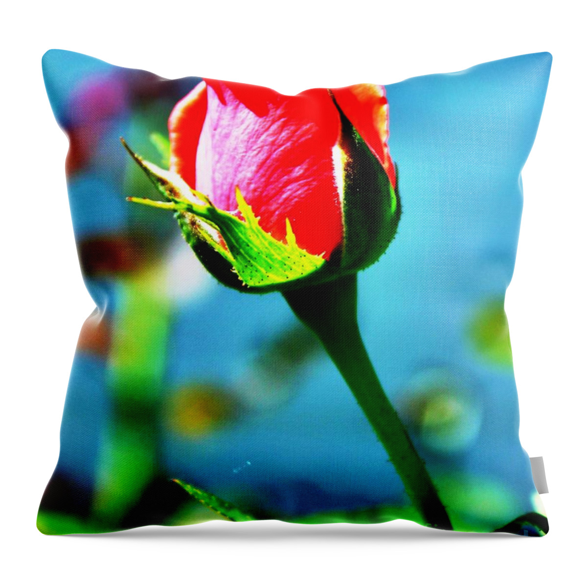 Single Rose Throw Pillow featuring the photograph Sunlite Rose Bud by Judy Palkimas