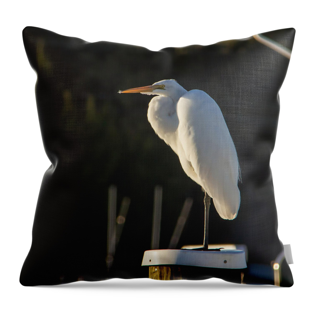 Egret Print Throw Pillow featuring the digital art Sunny Afternoon by Phil Mancuso
