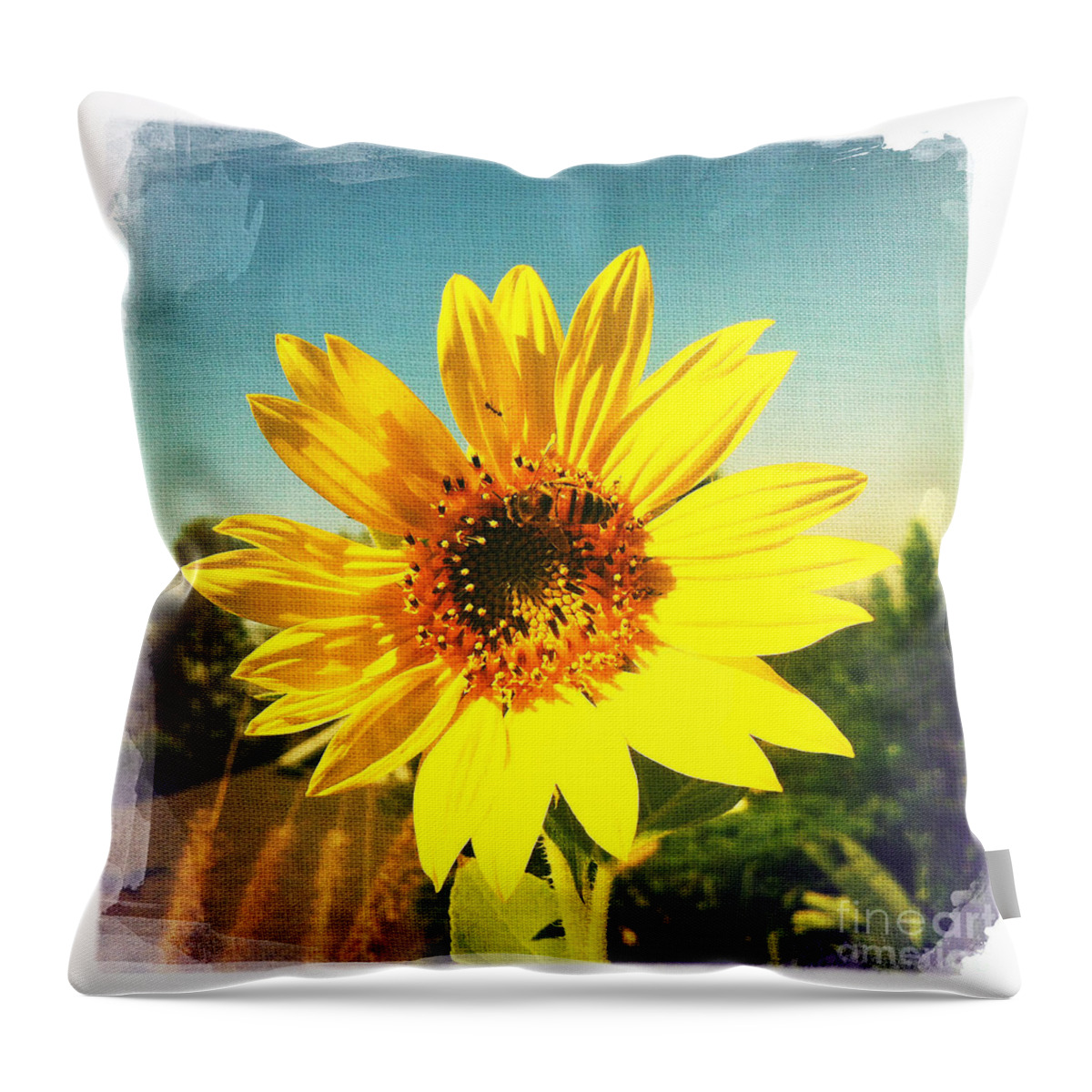 Sunny Day Sunflower Throw Pillow featuring the photograph Sunny Day Sunflower by Nina Prommer