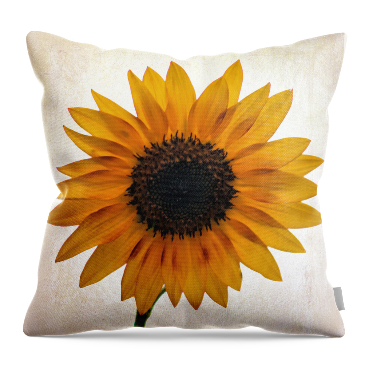 Floral Throw Pillow featuring the photograph Sunny disposition by Tammy Espino