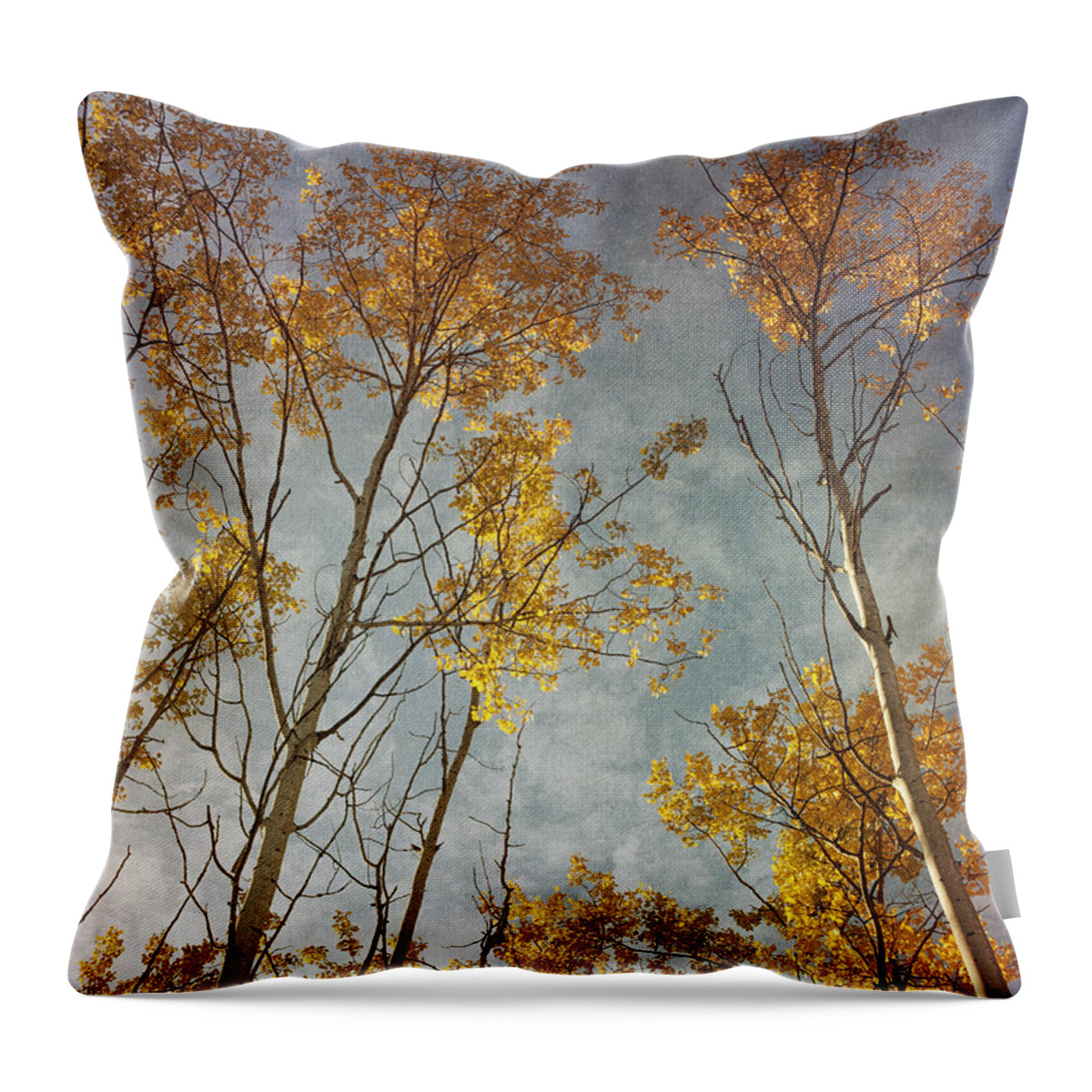 Leaves Throw Pillow featuring the photograph Sunny Leaves Tall by Priska Wettstein