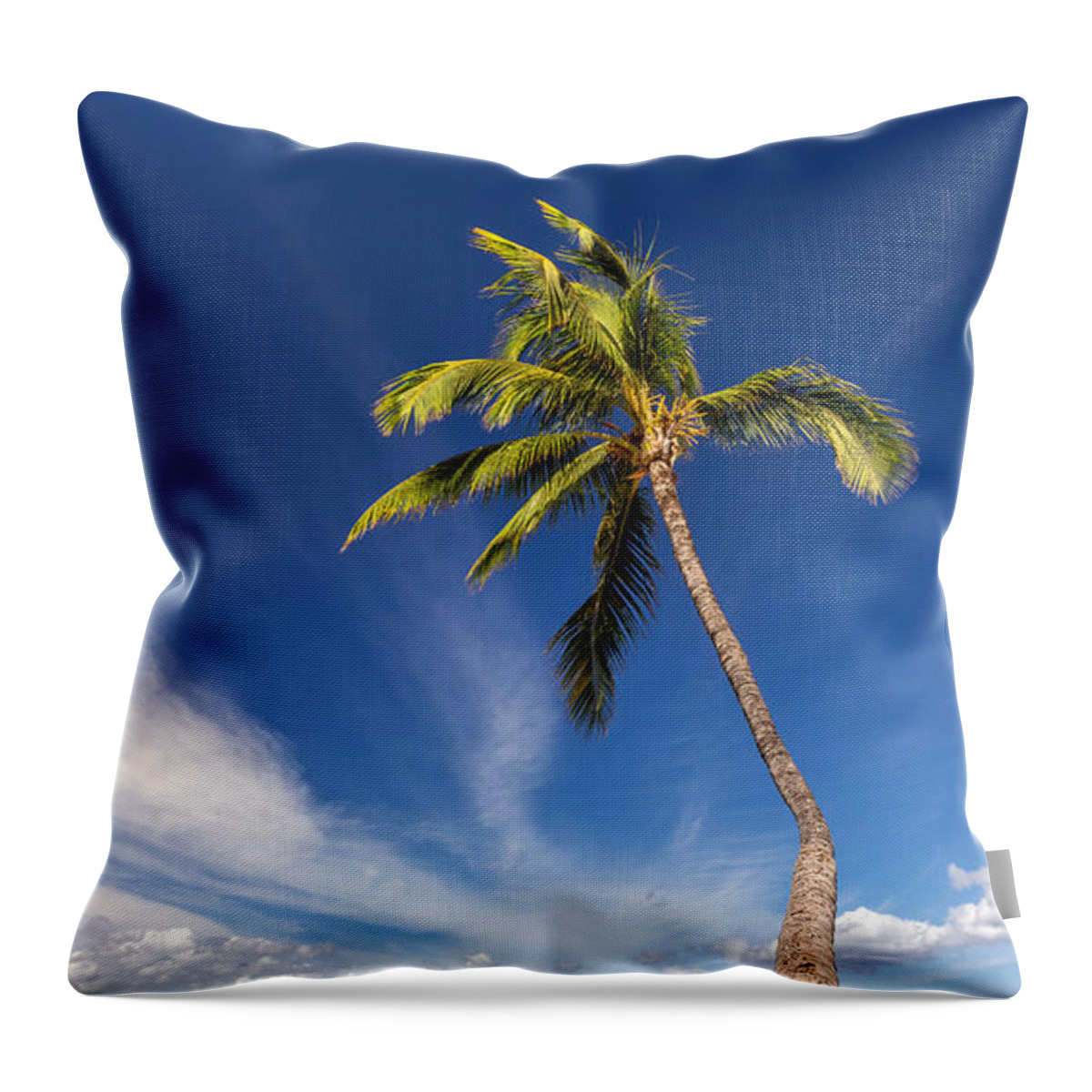 Kihei Throw Pillow featuring the photograph Sunny Palm Tree by Pierre Leclerc Photography