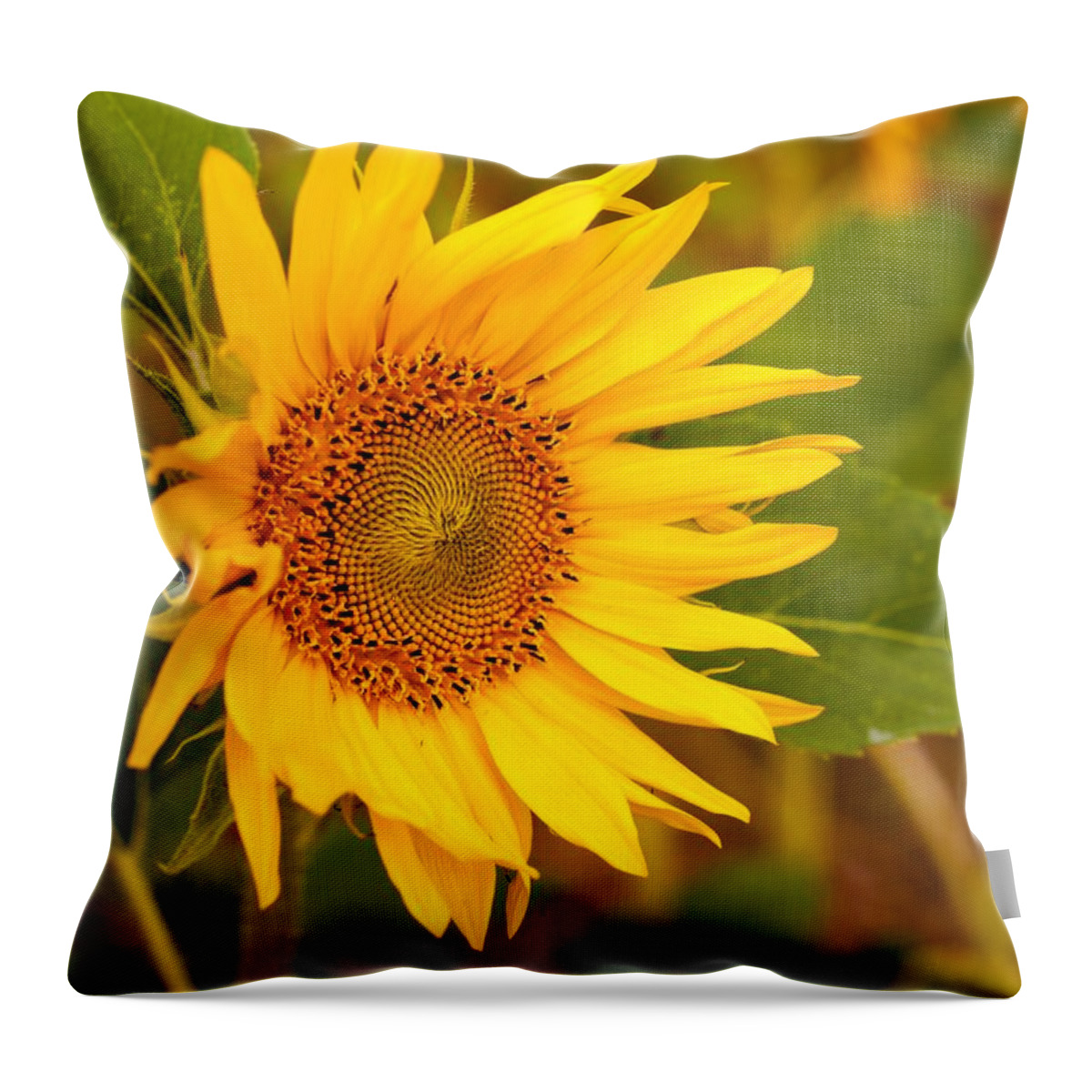 Miguel Throw Pillow featuring the photograph Sunny Sunflower Fields by Miguel Winterpacht
