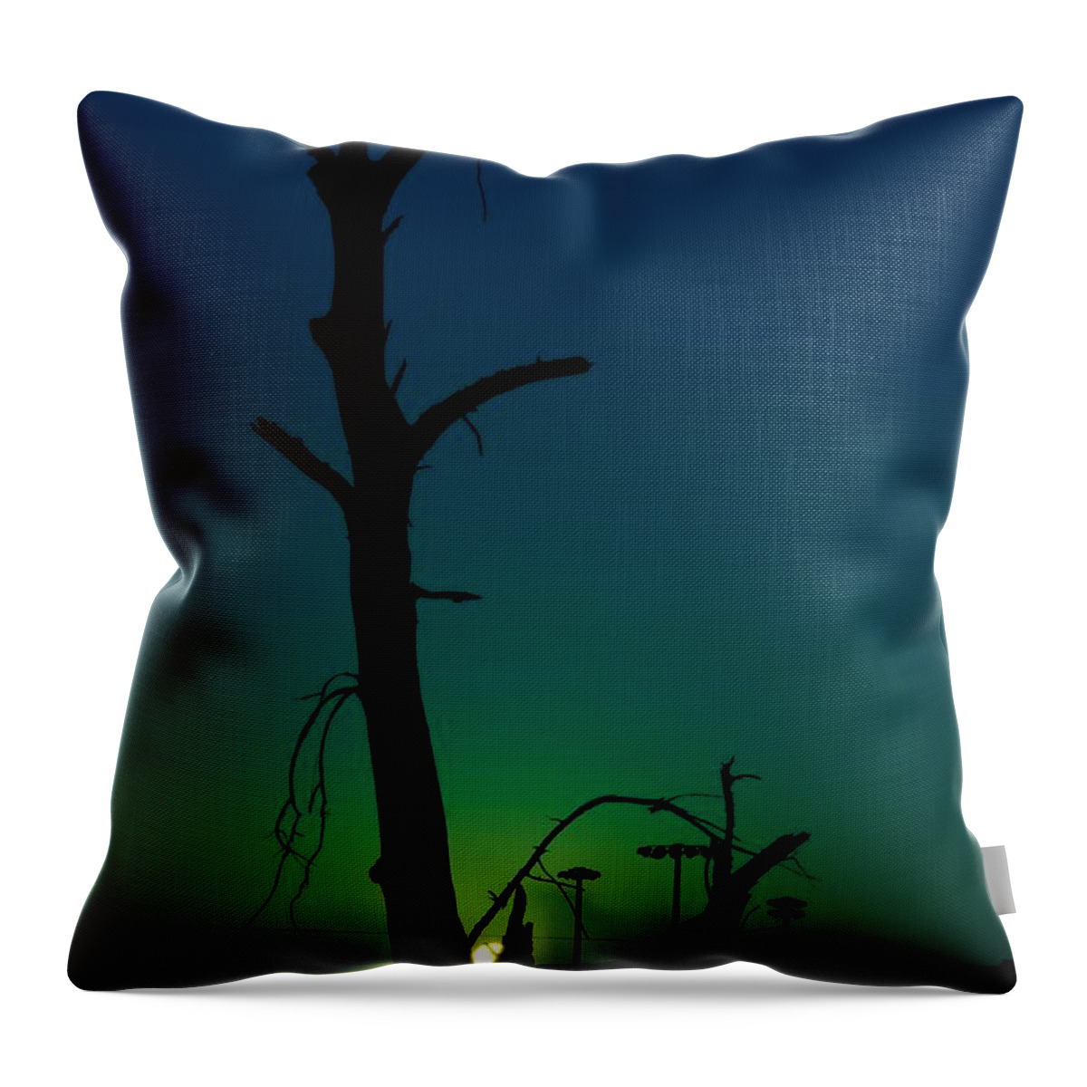 Sunrise Throw Pillow featuring the photograph Sunrise 1 by Chris Schroeder