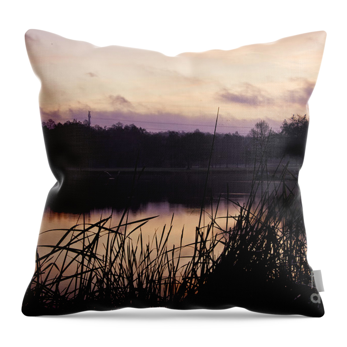 Florida Throw Pillow featuring the photograph Sunrise At Innisbrook by Timothy Hacker